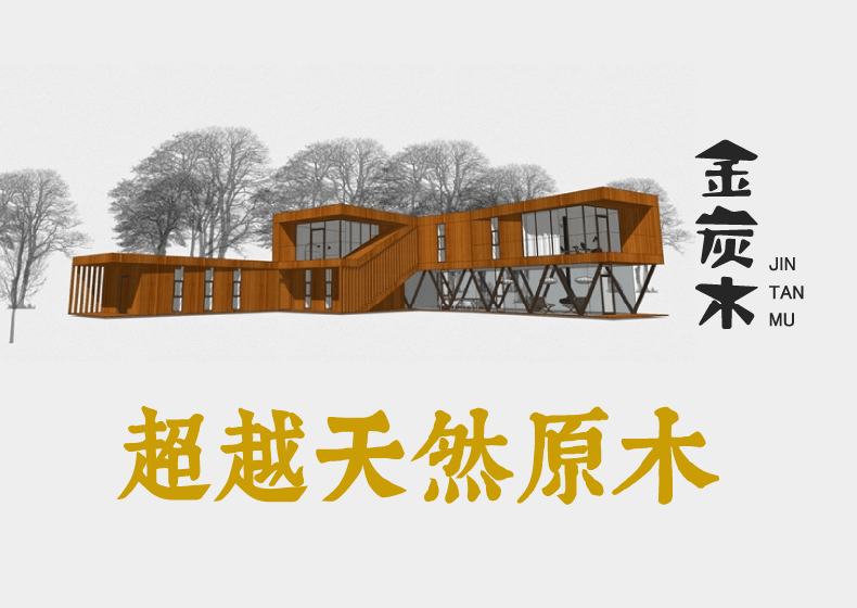 金炭木品牌設計